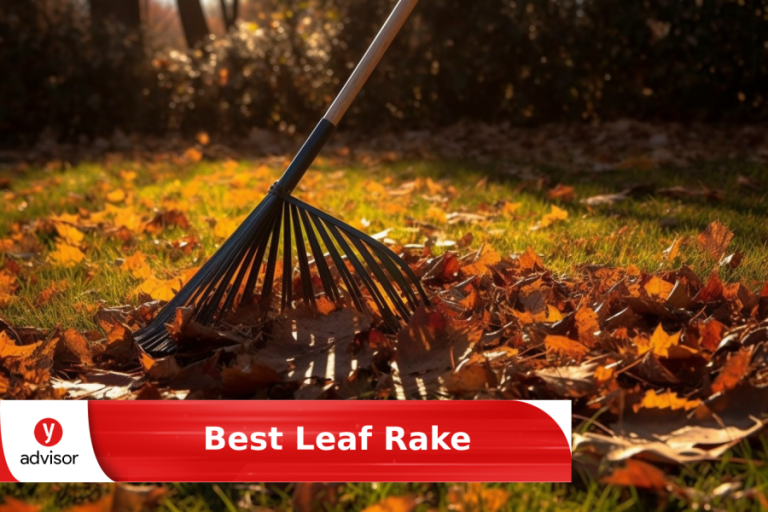 10 Best Leaf Rakes for 2024: Top Picks for Effortless Lawn Care