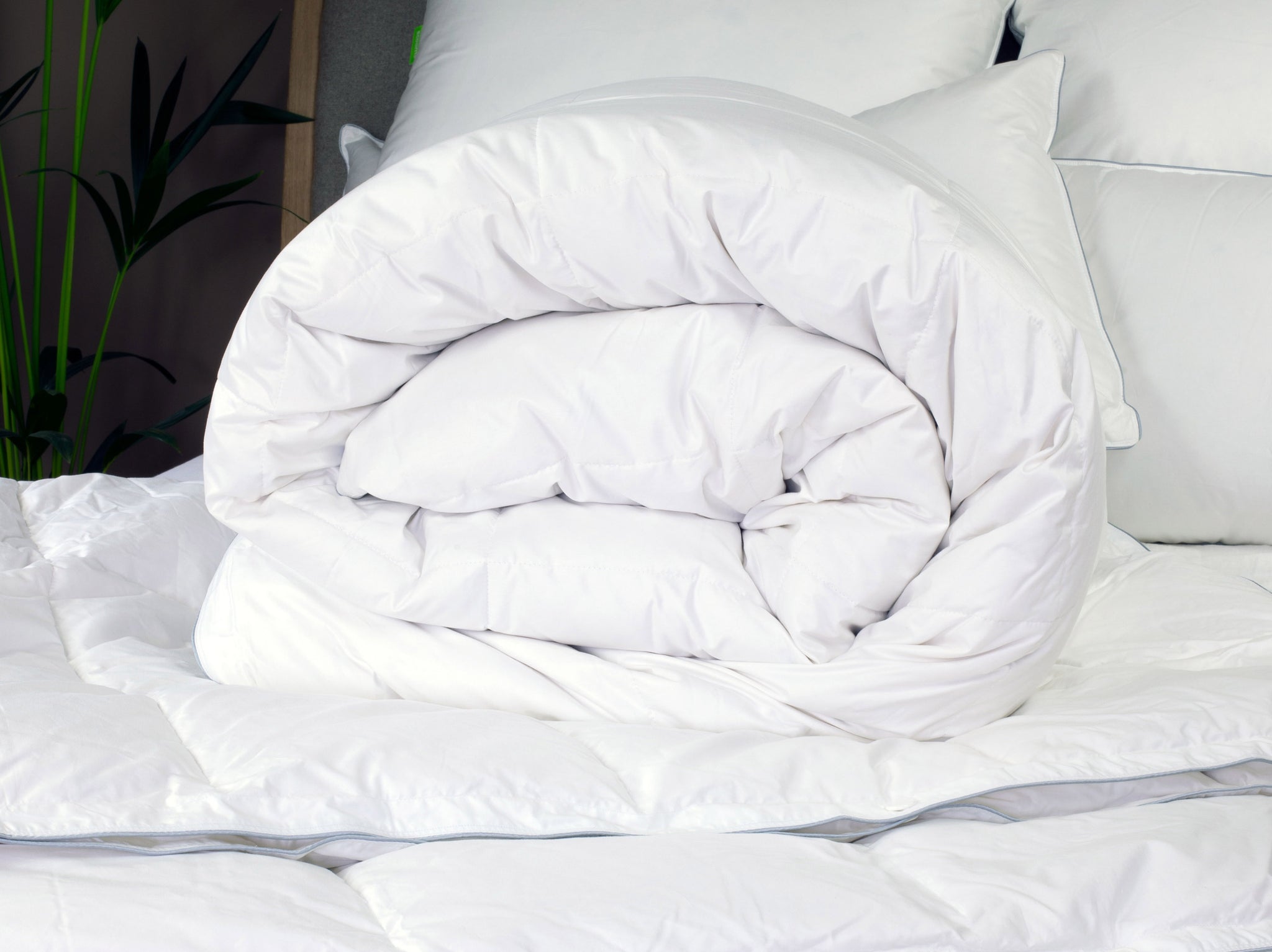 Down Comforter Buying Guide: How to Choose the Perfect Cozy Bedding