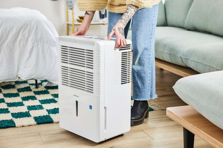 10 Best Home Dehumidifiers of 2024: Top Picks for a Comfortable Space