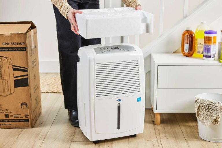 10 Best Basement Dehumidifiers for a Dry Home in 2024