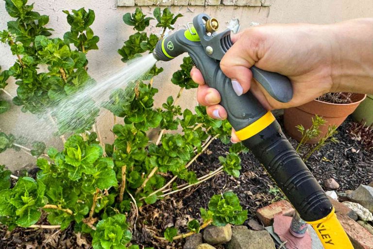 10 Best Garden Hose Nozzles: Top Rated Picks for 2024