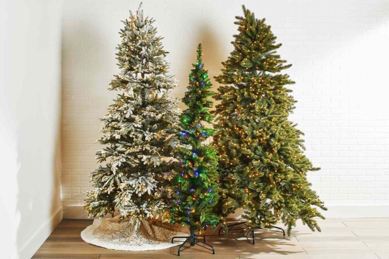 10 Best Xmas Tree Stands: Top Picks for 2024 Holiday Season