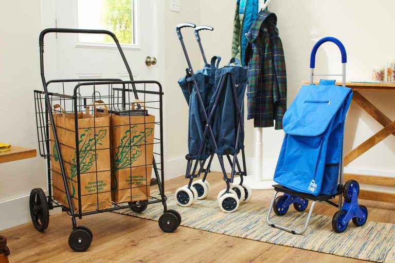 Best Shopping Carts: Top Picks for 2024 You Can’t Miss!