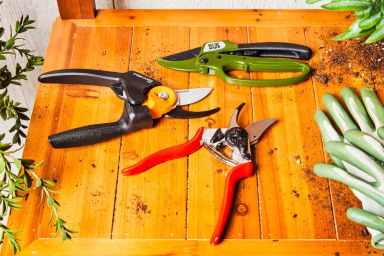 10 Best Garden Shears for Pruning: Top Picks for 2024