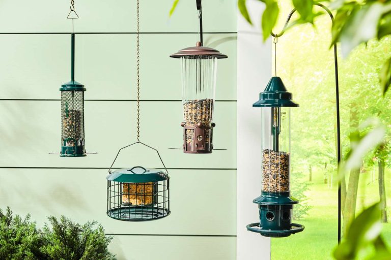 10 Best Bird Feeders of 2024: Top Picks for Your Feathered Friends