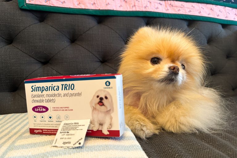 10 Best Simparica Trio Products for Your Pet in 2024