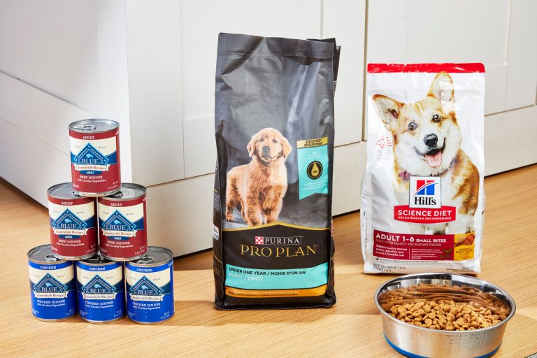 Best Freeze-Dried Dog Food: Top Picks for 2024 You Can Trust