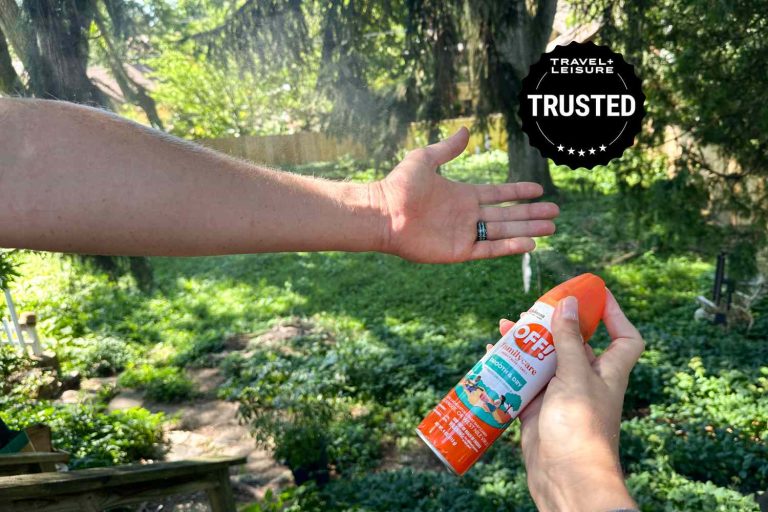 10 Best Insect Repellents for Backyard 2024: Top Products Reviewed