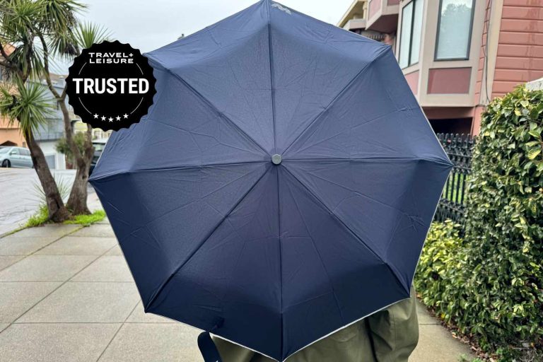 10 Best Umbrellas for Wind and Rain: Top Picks for 2024