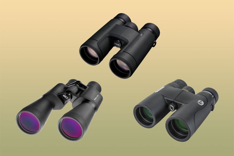 Best Binoculars of 2024: Top Picks for Every Outdoor Adventure