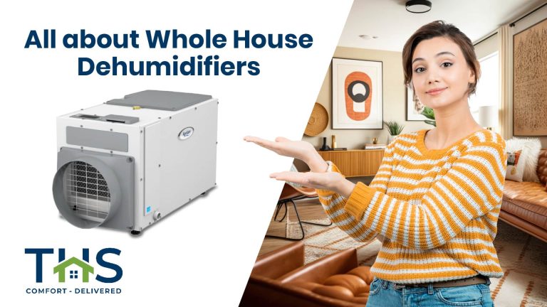 10 Best Whole House Dehumidifiers of 2024: Top Picks for Your Home