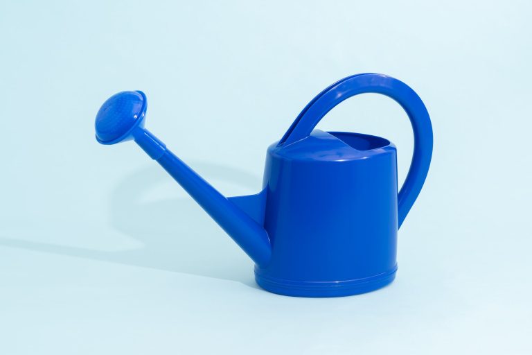 10 Best Watering Cans for 2024: Top Picks for Your Garden Needs