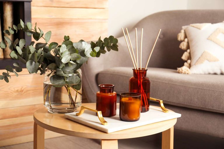 10 Best Home Diffusers for 2024: Enhance Your Living Space Today!