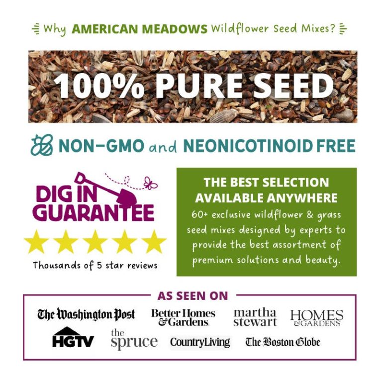 10 Best American Meadows Products for 2024: Top Picks for Your Garden